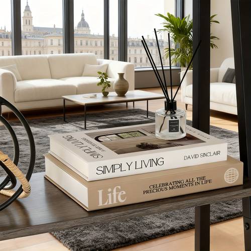a set of 2 minimalist decoration books suitable for decoration bedroom living room and office decoration home dining table ornaments and gifts