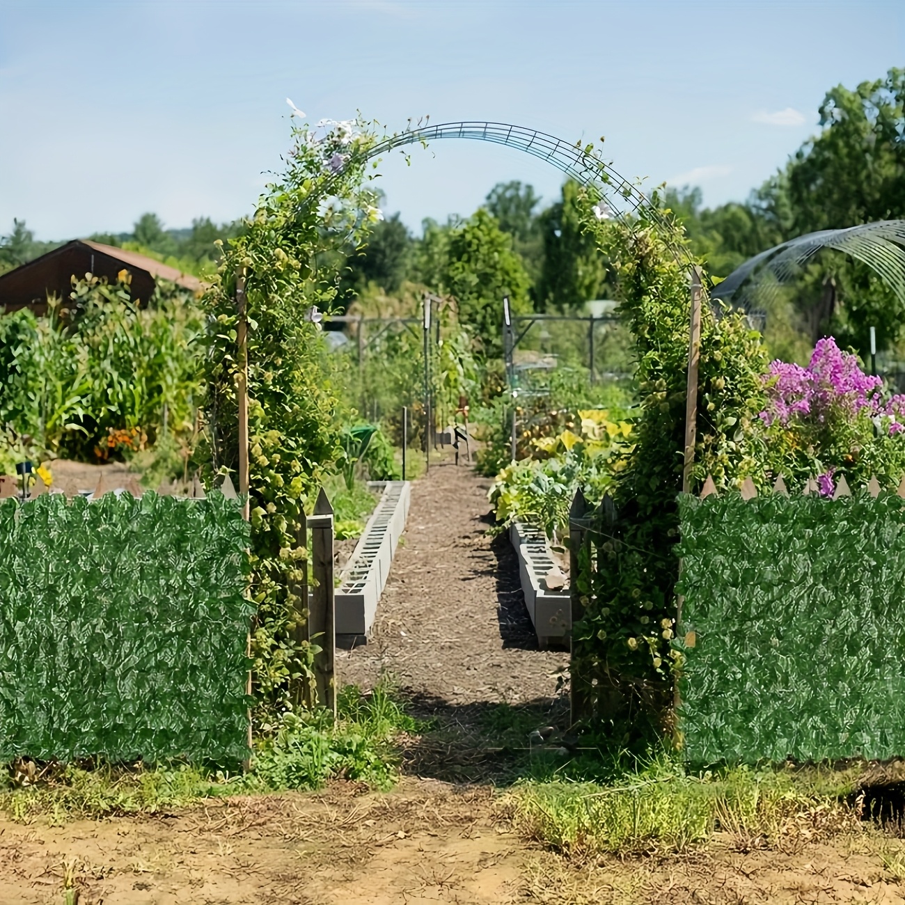 6 Rolls Total Length 236.2 Inches x 19.7 Inches, UV Durable Expandable Outdoor Artificial Vine Privacy Fence Panel - Durable Plastic Green Plant Barrier, Easy to Hang, Suitable for Outdoor/Indoor Use, Perfect for Patio, Garden, Balcony, Backyard, Natural Look, Ideal for Thanksgiving and More, Garden Privacy Solution | Natural Appearance | Easy Hanging Design, Outdoor Decoration