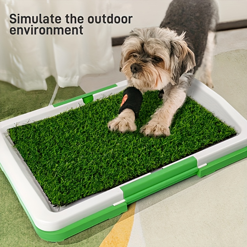 Grass Pad Indoor Dog Potty Petsmart Potty Pad Dog Real Grass Pad