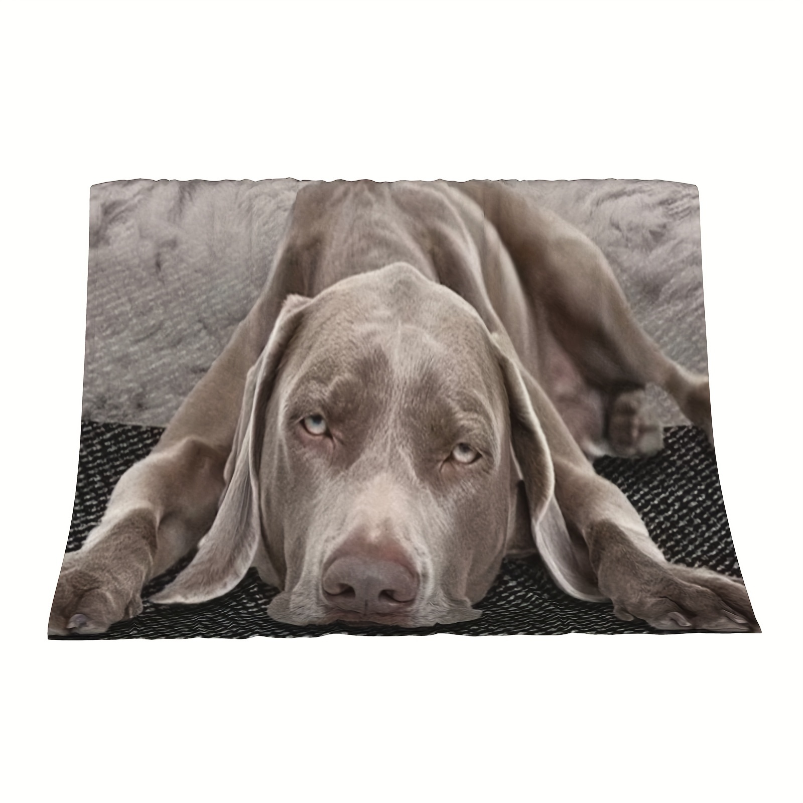 

1pc Weimaraner Dog Blanket, 50x40inch, , -sided, , Theme, For Bed, Sofa, , , - Sallun-2517