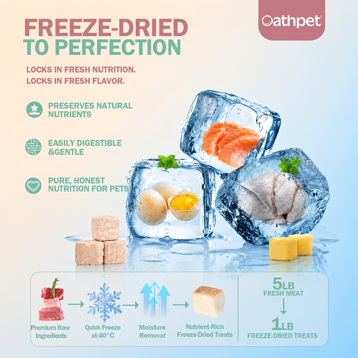 oathpet premium freeze dried double layer donut treats for   chicken salmon with cat grass cheese high protein daily reward snacks 15 count Product details 4