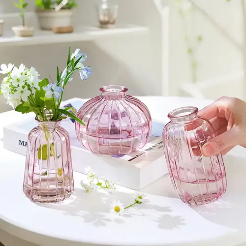 3 pack striped glass hydroponic vases set transparent water plant terrarium creative desktop flower pots for living room office wedding decor tabletop fridge windowsill display