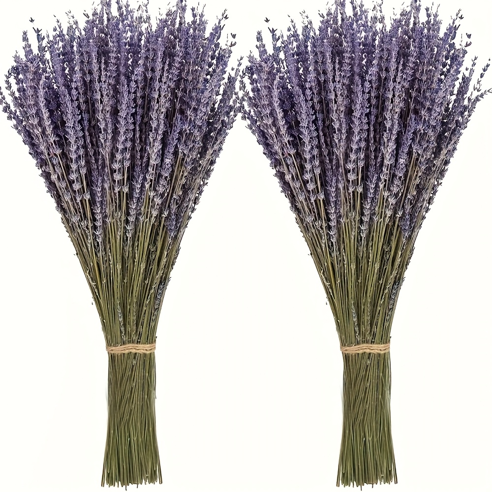 TEMU 200 Stems Of Dried Lavender Bouquet, Bundled Dried Purple Lavender Plants, 15-17 Inch Stems Per Bundle, And Dried Lavender Flowers, Suitable For