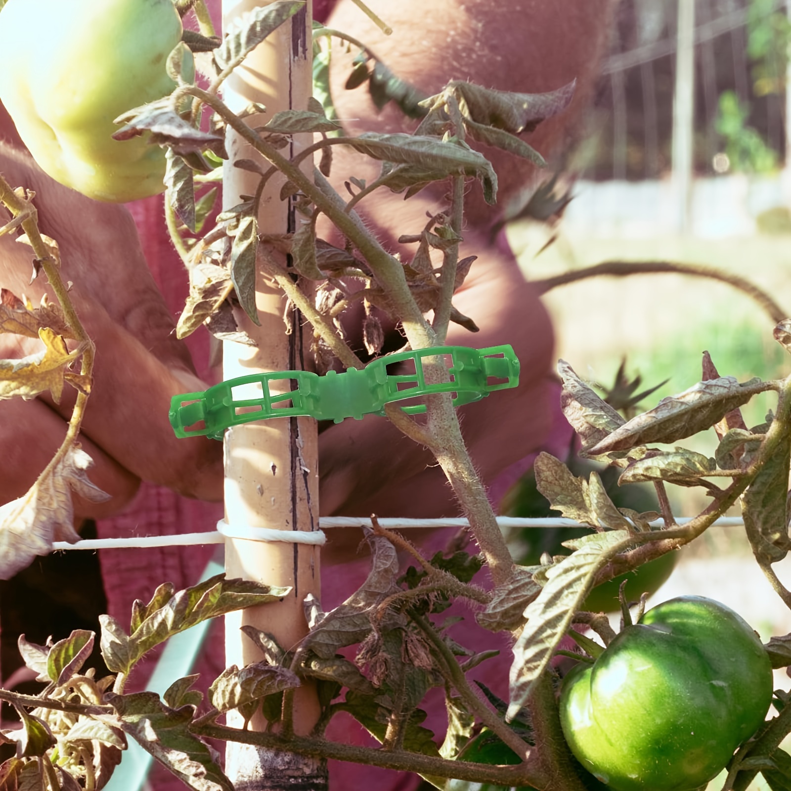 Durable Plastic Garden Trellis Clips - 10/50/100/150pcs - Ideal for Supporting Tomato, Grape Vines & Vegetables - Promotes Healthy Upright Growth, Garden Trellis for Climbing Plants