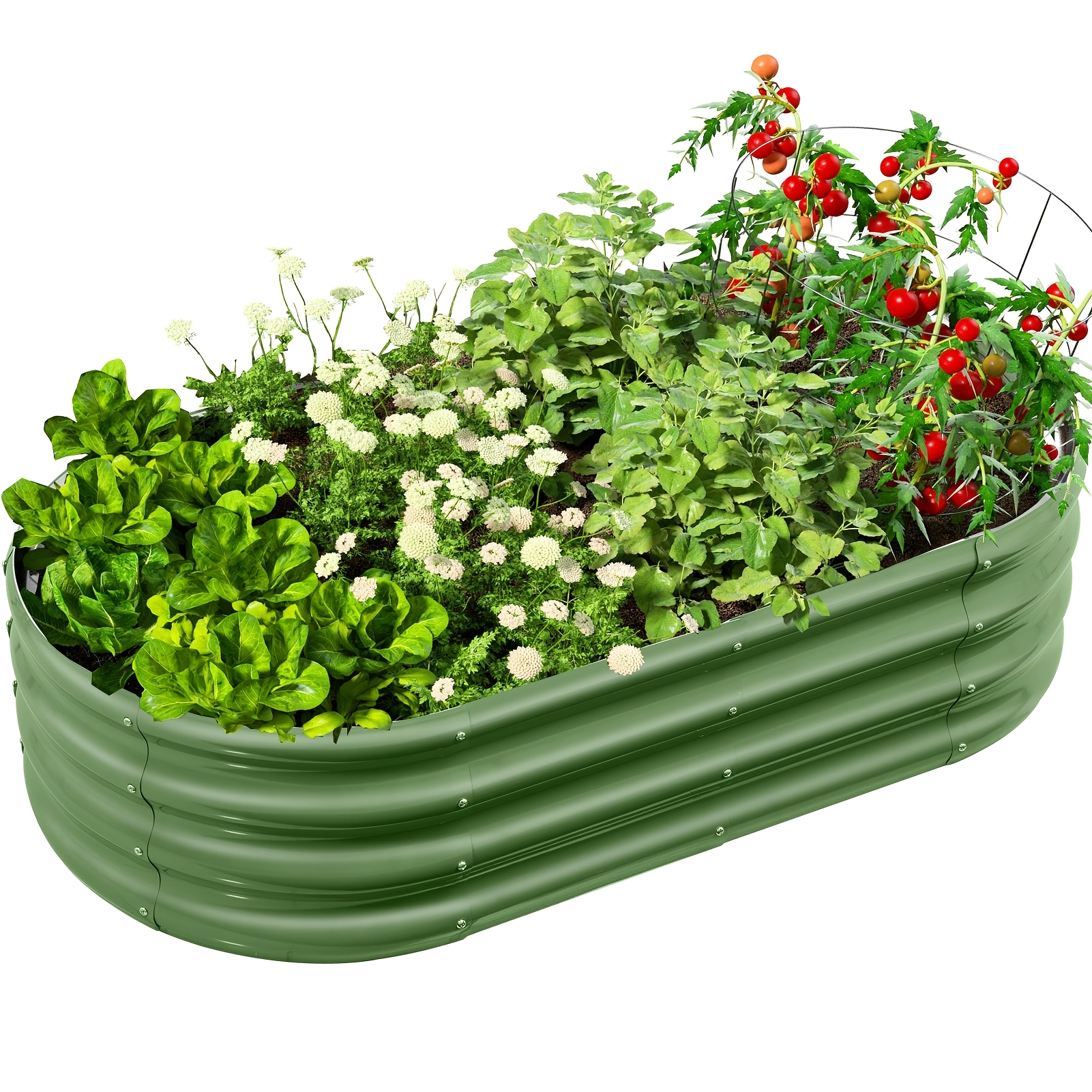 TEMU Galvanized Raised Garden Bed Outdoor, 4x2x1ftmetal Heavy Duty Planter Boxes For Gardening, Easy Assemble Bottomless Small Oval Plant Container