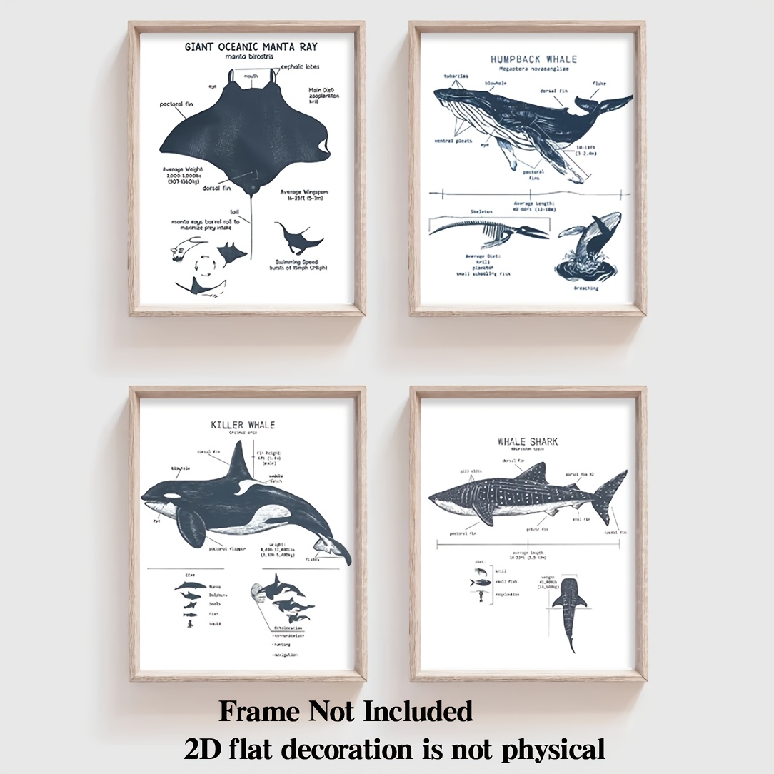 TEMU 2d Flat, 2d Flat Wall Decoration Poster No Frame 4pcs Whale Life Educational Art For Room Decor Props Size Is 8*10in, 2d Flat