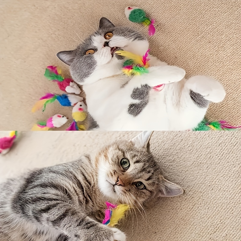 

[customer ] 1/3/5/10 Plush Mouse Cat Toy Random Color