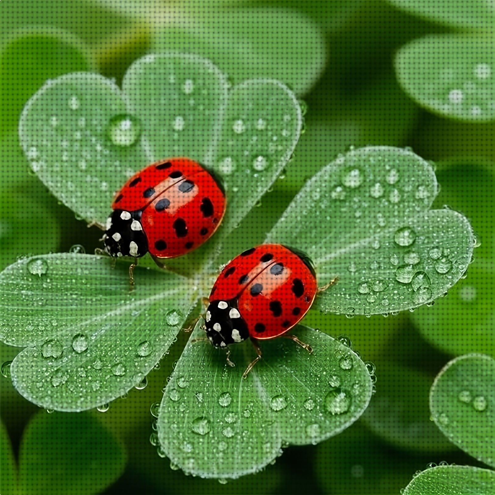 TEMU 1pc Of New 11ct/14ct Printed Cross- Diy Kit "two Ladybugs On A Clover With Dew", A Relaxing Diy Cross- Kit Suitable For Adult Beginners,