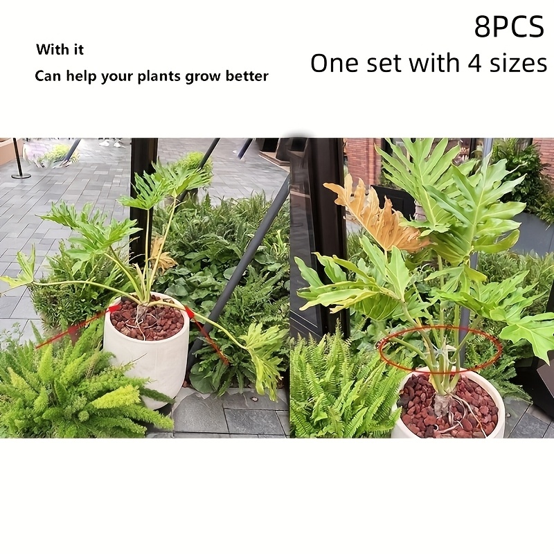 TEMU 8pcs Transparent Plant Support Frame, Turtle-backed Bamboo Support Rod, Flower Support Frame, Plant Prevention Flower Frame, Bird Of Paradise,