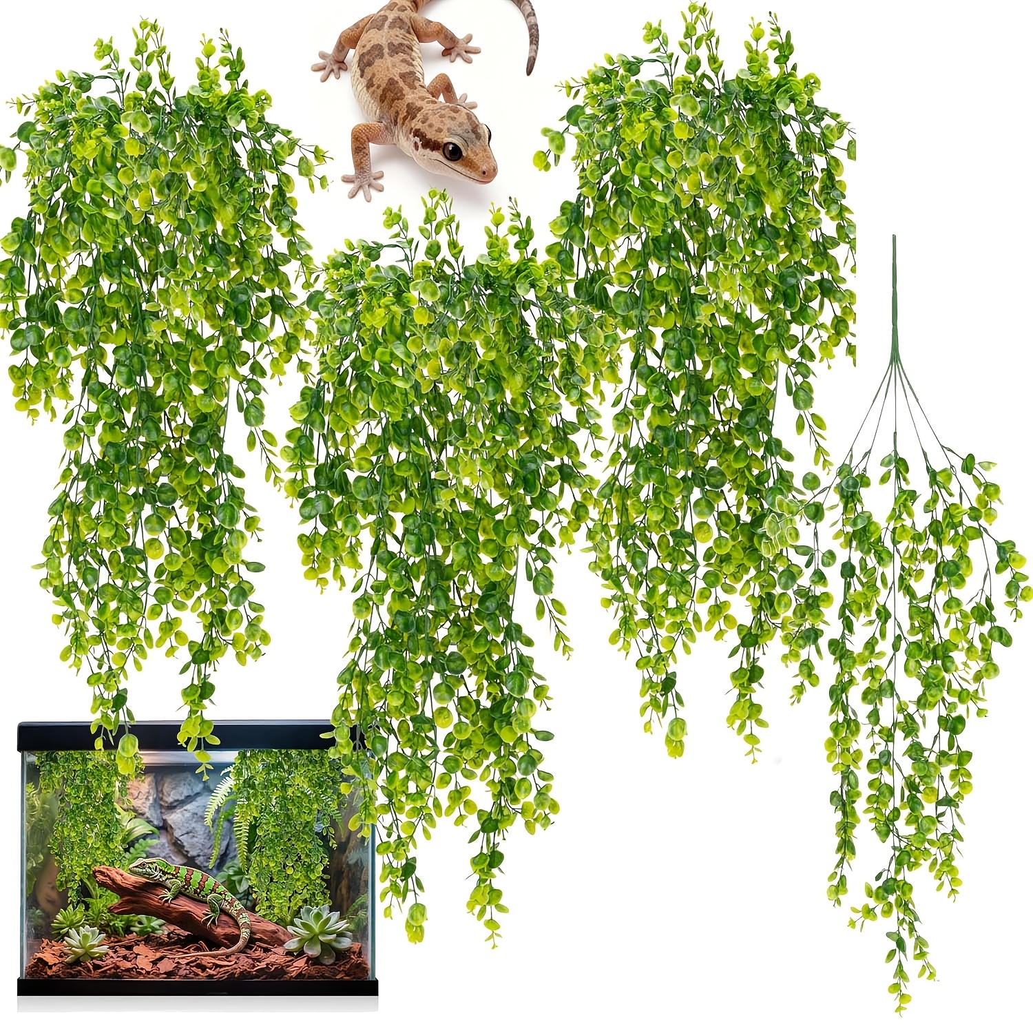 where can i buy indoor plants Large Majesty Palm Houseplant with Planter - Large (3-4' tall) Sand Planter