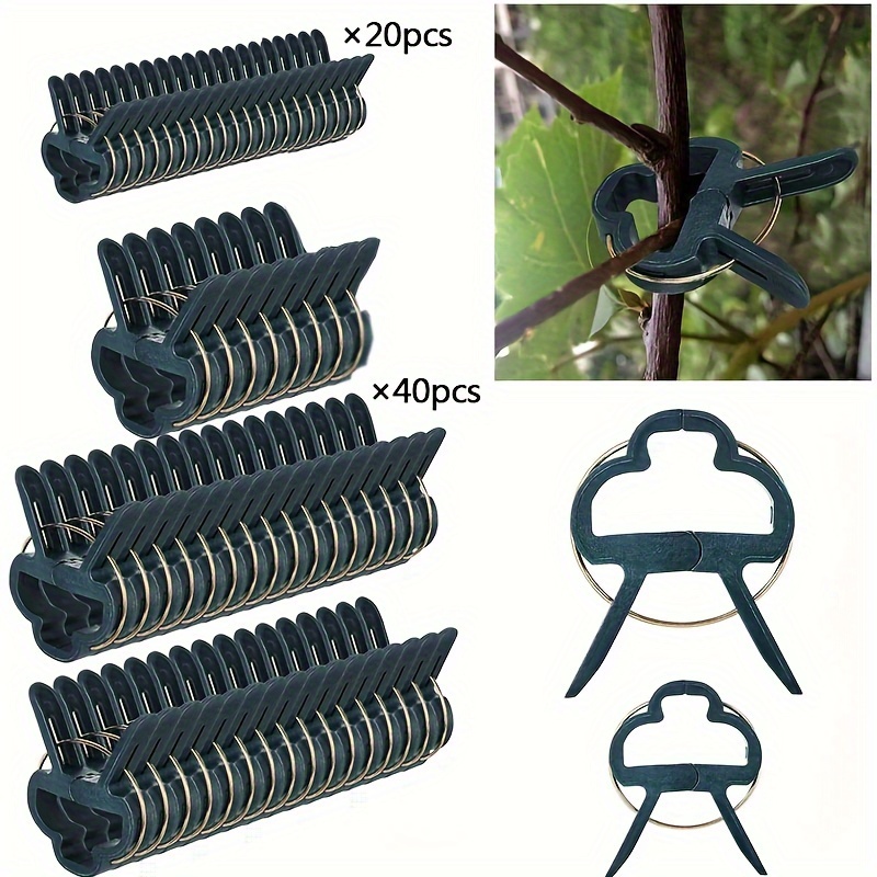 

60pcs Plants, 2 , Size 3.03*4.06cm/1.2*1.6in, 4.57*6cm/1.8*2.4in, Reusable , Multifunctional Vine For , Support (40 +20 Small)