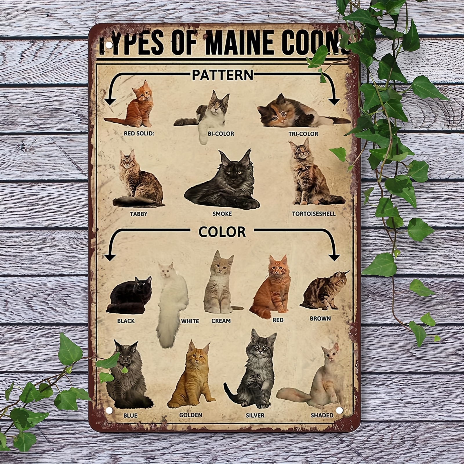SUPERDANT Vintage Blechschild Katzen - Retro Wanddeko Mit Spruch 'Ich Lese Bücher, Trinke Tee Und Ich Weiß Dinge' (20x30 Cm)