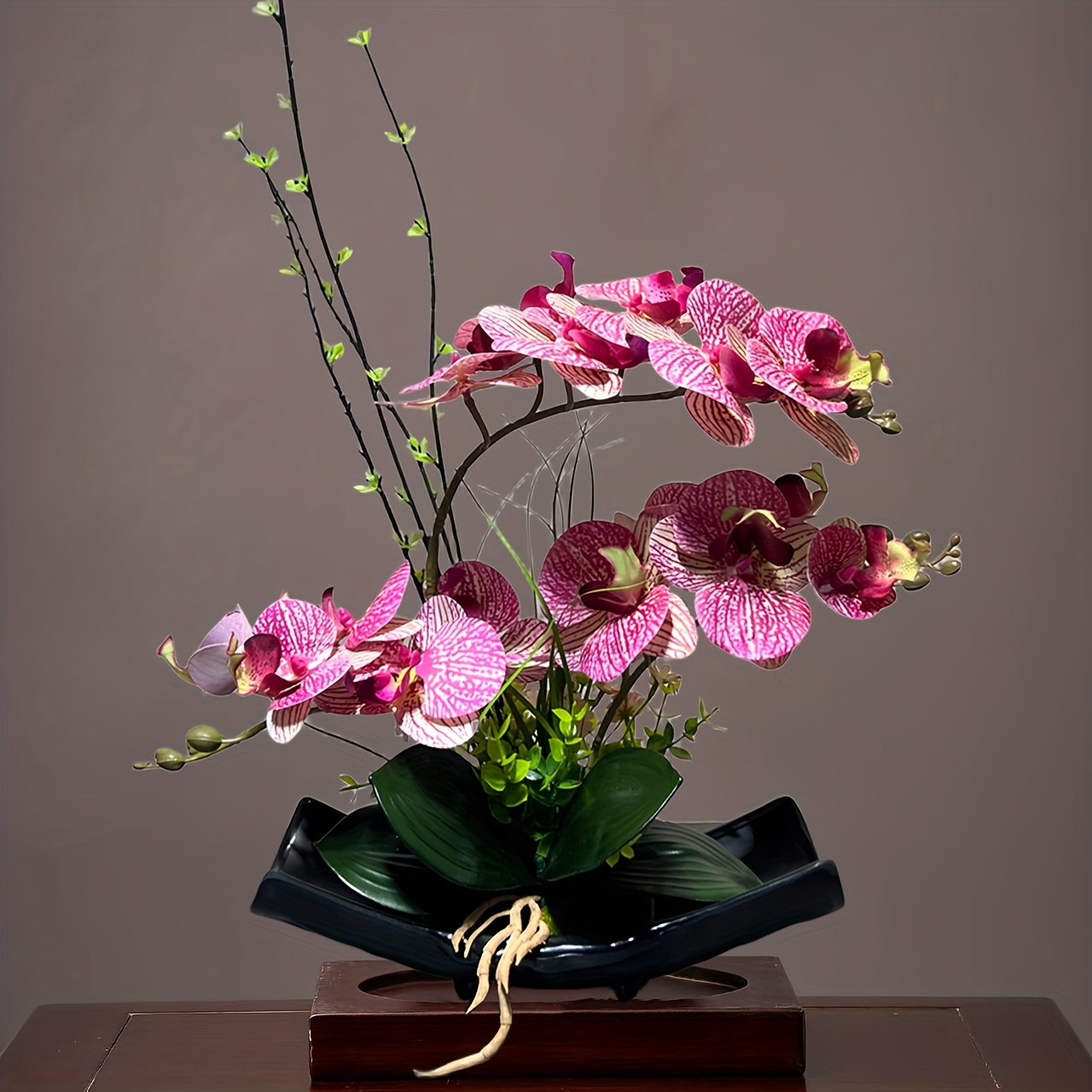 bonsai orchid sold on Temu United States