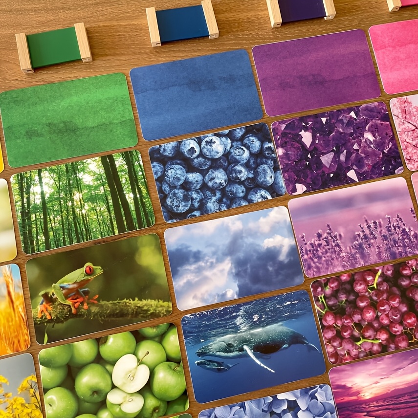 40pcs   cards and 10pcs color name cards color recognition cards color matching game cards visual attention practice color identification cards  s