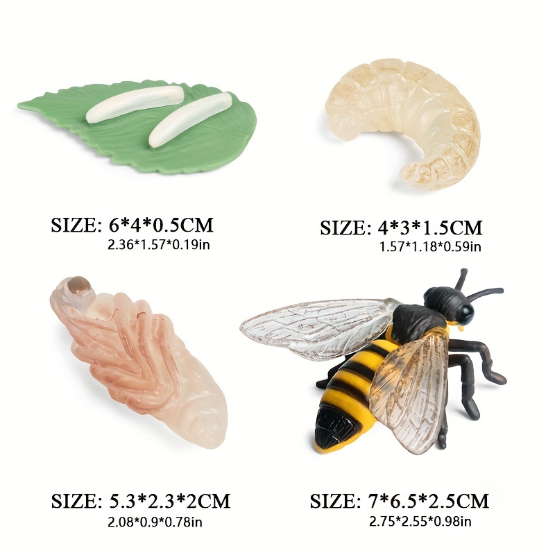 Image of Set Of Educational Cycle Models For Children, Featuring Realistic Representations Of Of Bees, Suitable For Insect-themed Party Gifts