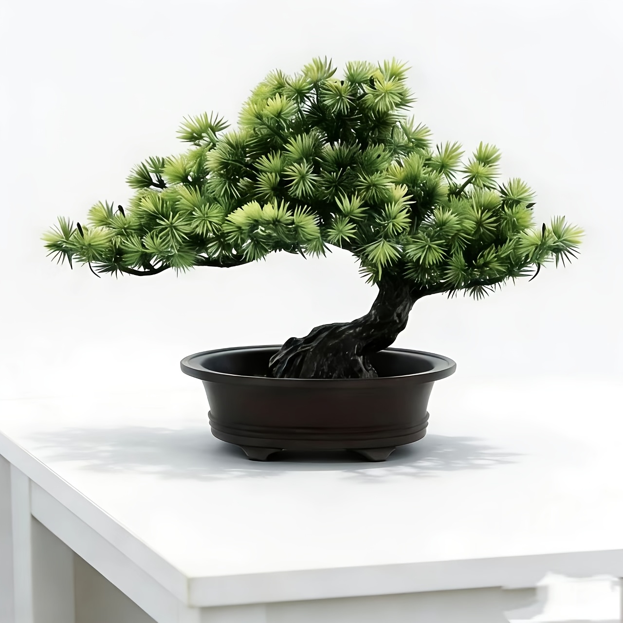 bonsai bume fr drinnen - Temu Deutschland