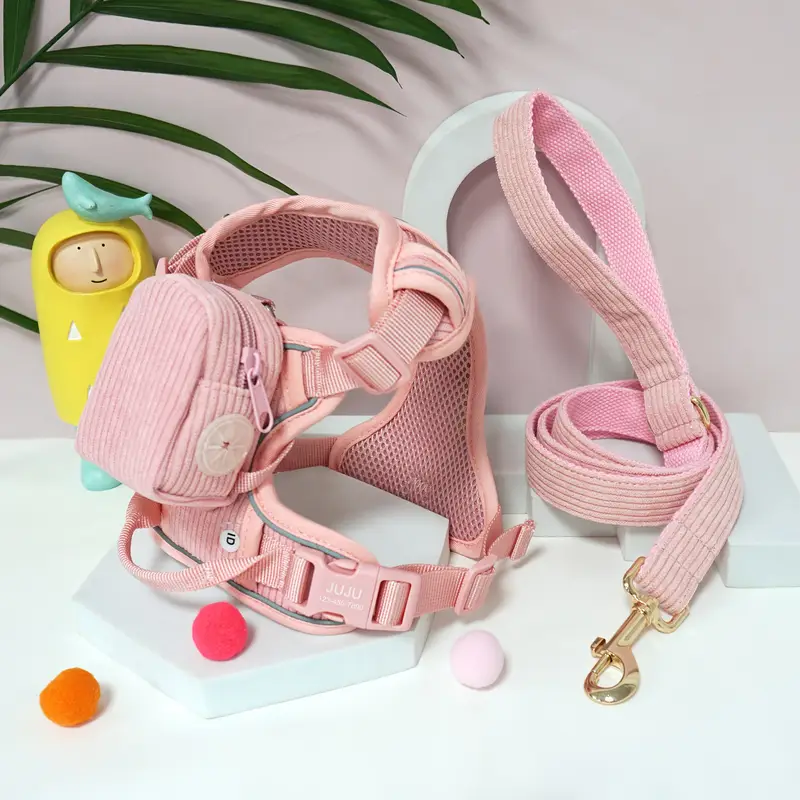 목줄과 배변봉투를 준비한 강아지 산책 용품