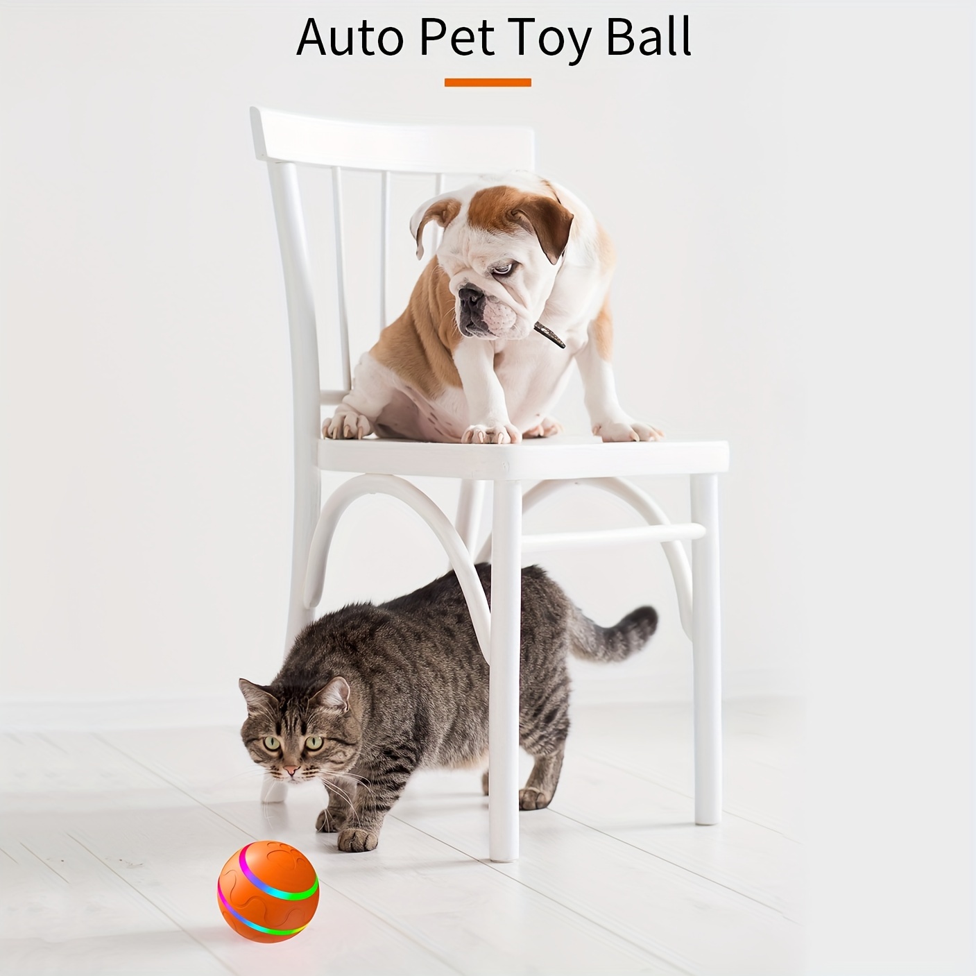 

Interactive Pet Toy , Bouncing , , For / , / , Usb Rechargeable