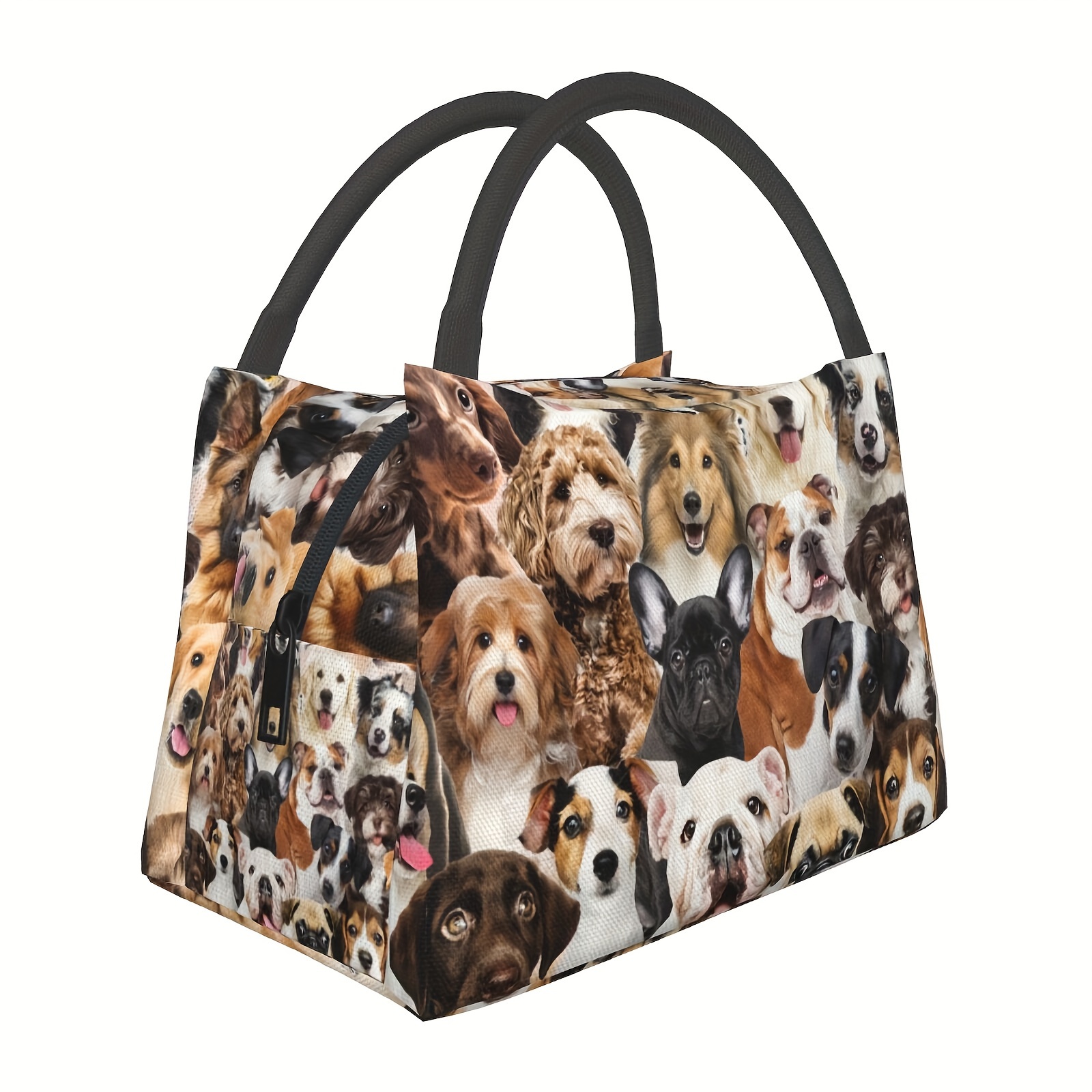 

Insulated Bag - Reusable, For , Picnics, &