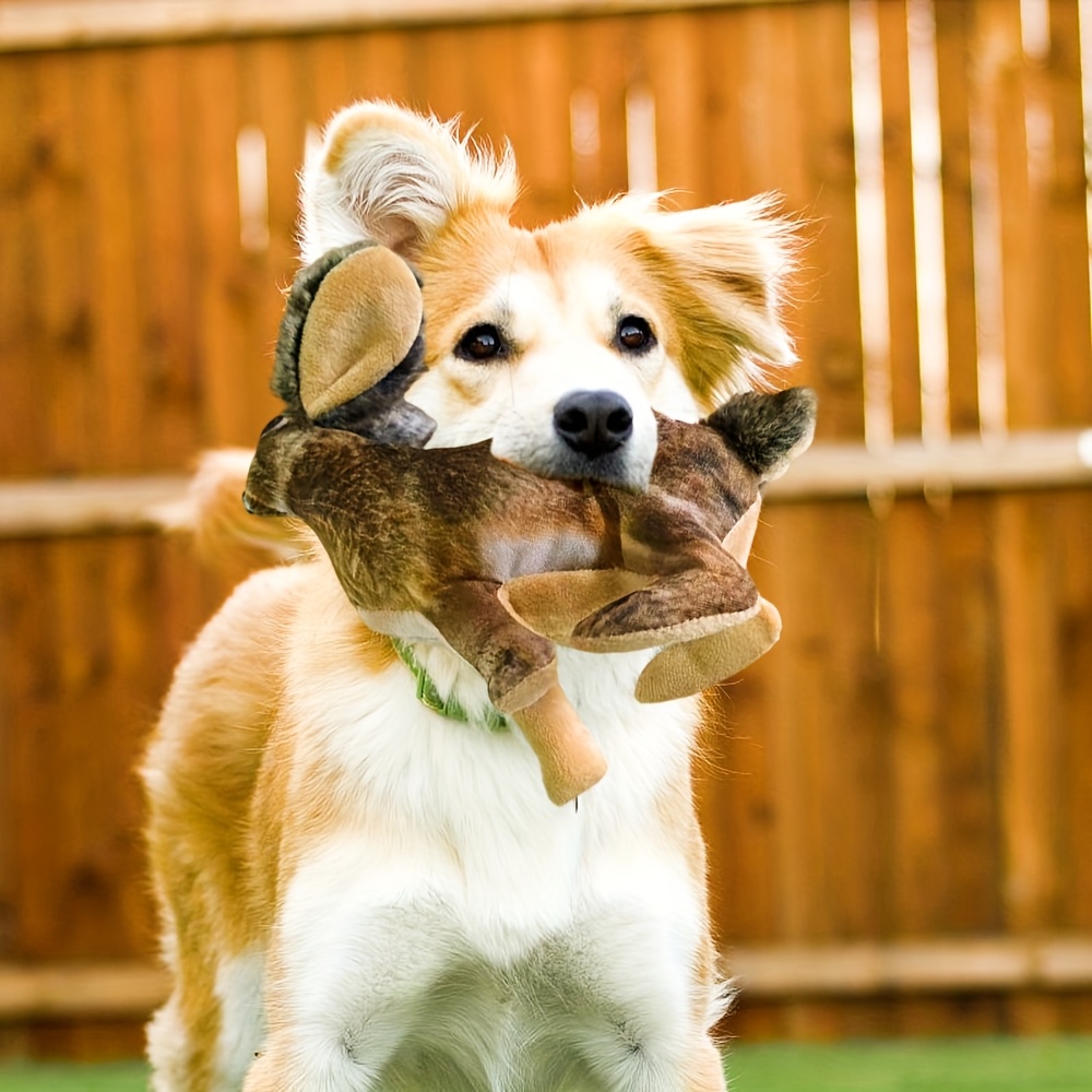 Soft Squeaky Toy for Puppies, Realistic Rabbit