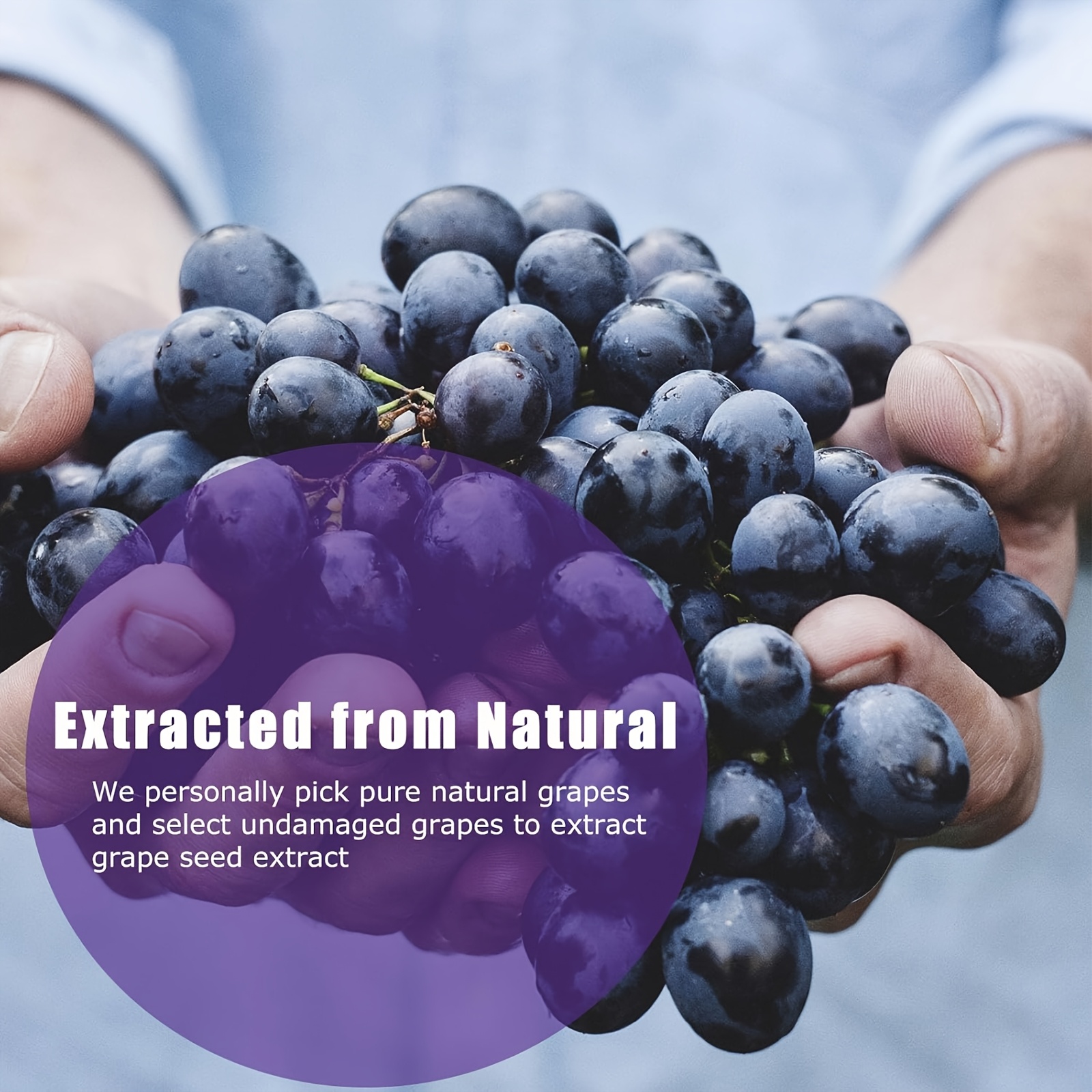 50g purple teeth restoration mineral powder     protects enamel promotes   teeth whitening product modern   mineral restoration powder Product details 4