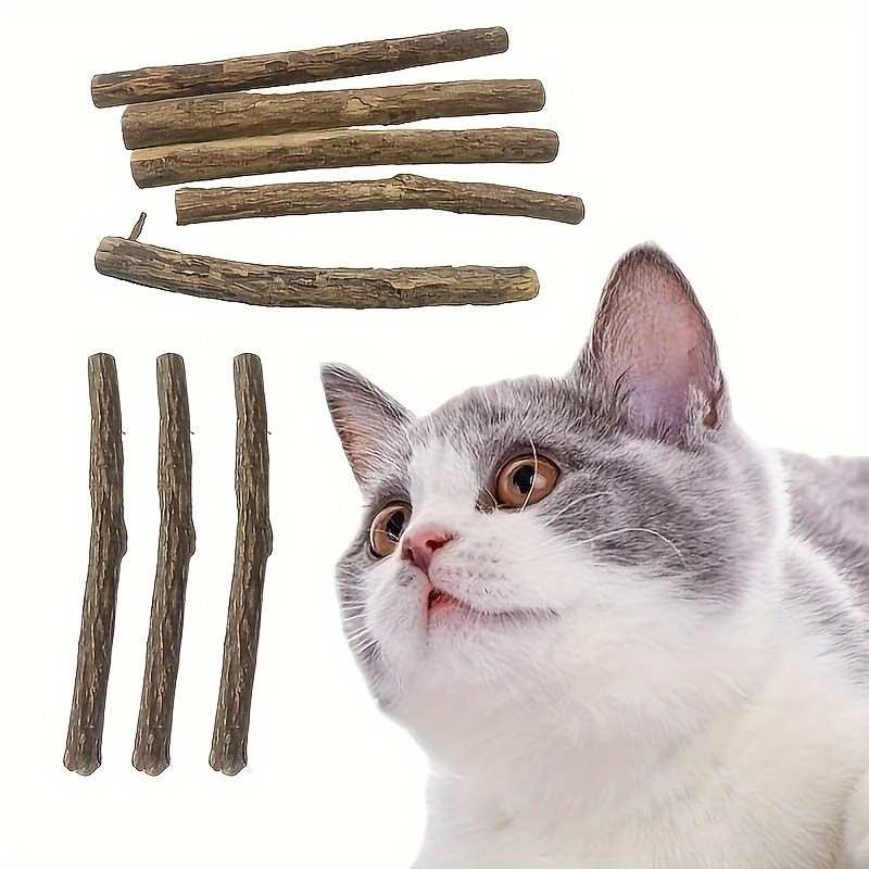 Cat teeth cleaning sticks best sale