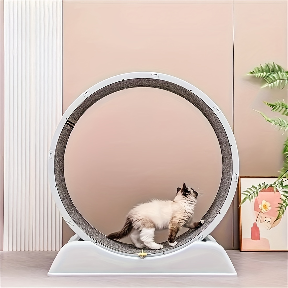 

Exercise Wheel, Non-blocking Plastic Cat Running Wheel For Home Fitness And Play