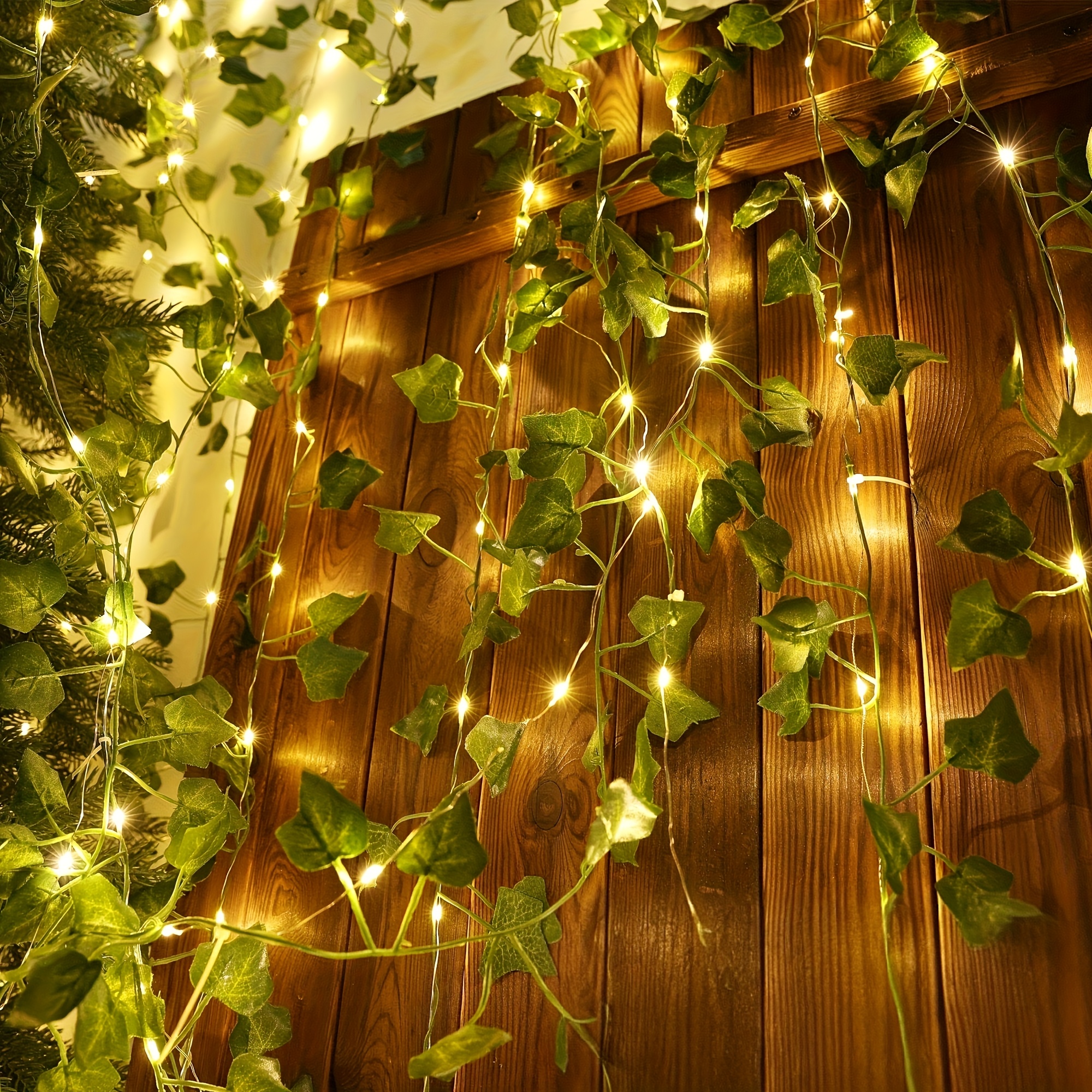 efeutute bild Epipremnum Aureum main image 0