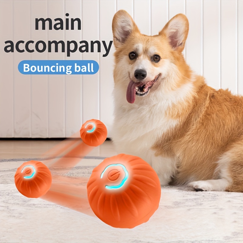 Automatic Rolling Ball Toy Dog Chew Ball Toy Pet Temu