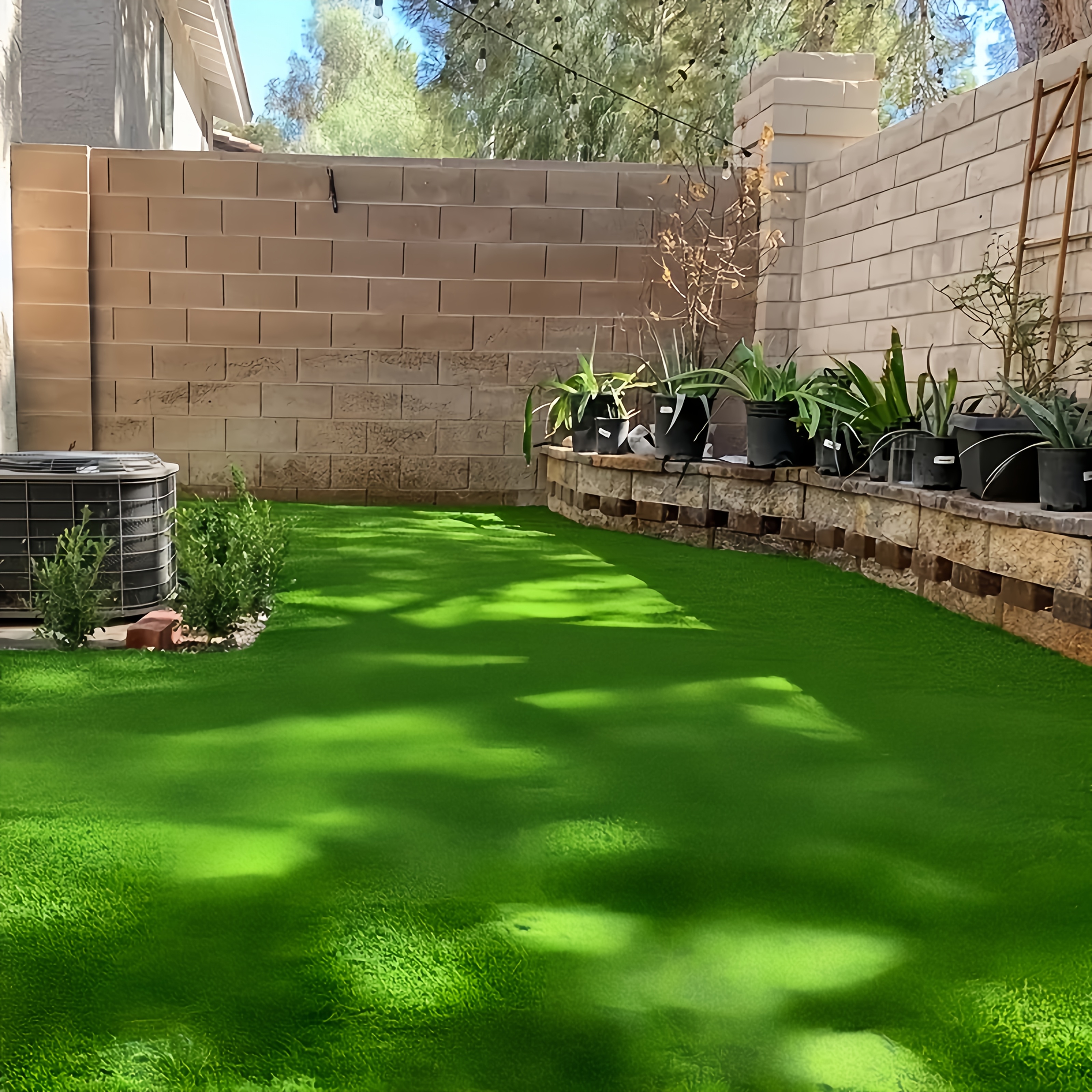 Grass Backyard Playground Ground Cover Playground Surface