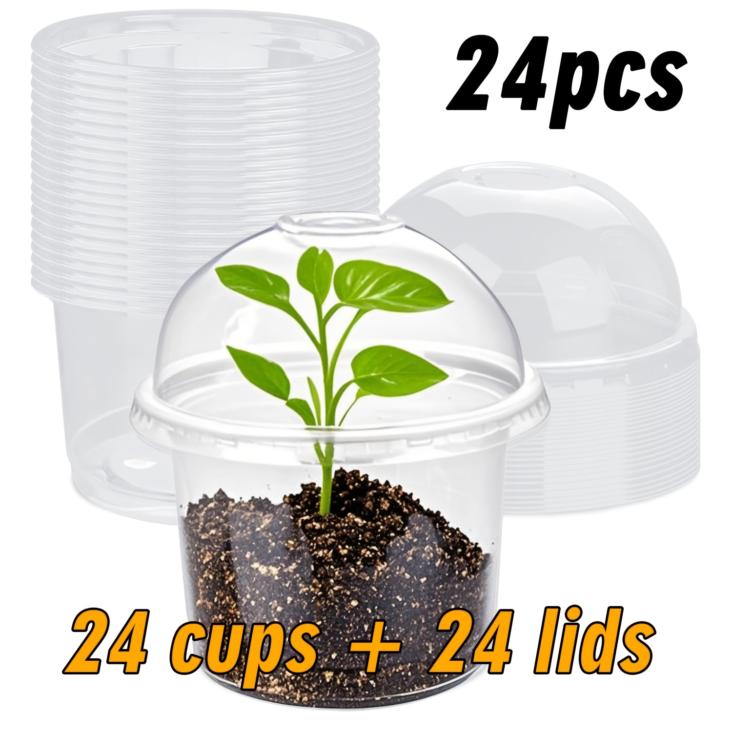 small cactus plant pots Assorted Cactaceae Cactus Tray, 15 Pack