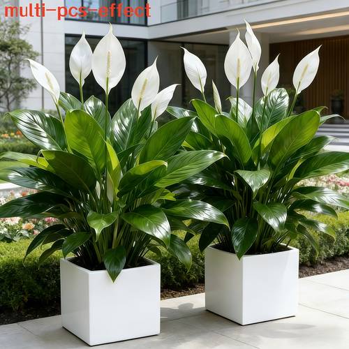 2 luxury artificial flowers white heart shaped flowers with and green leaves home indoor outdoor decor hotel decoration suitable for christmas and thanksgiving ideal for indoor and outdoor