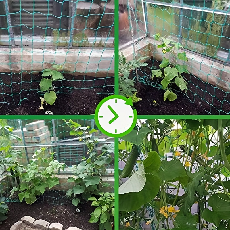 Image of Heavy-duty Pvc Garden Trellis Net - Sturdy Support For Climbing Plants, Flowers, And Vegetables, Durable Weather-resistant Material, Easy Setup And Secure Stakes, Ideal For Outdoor Gardening