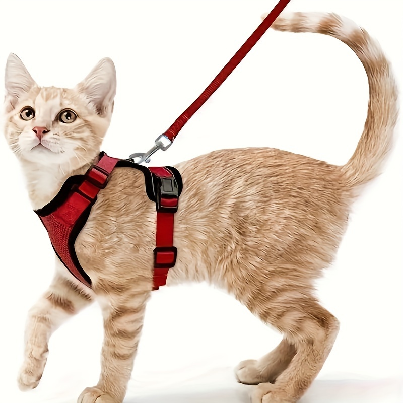 Escape proof Cat Harness Leash Set Breathable Adjustable Temu