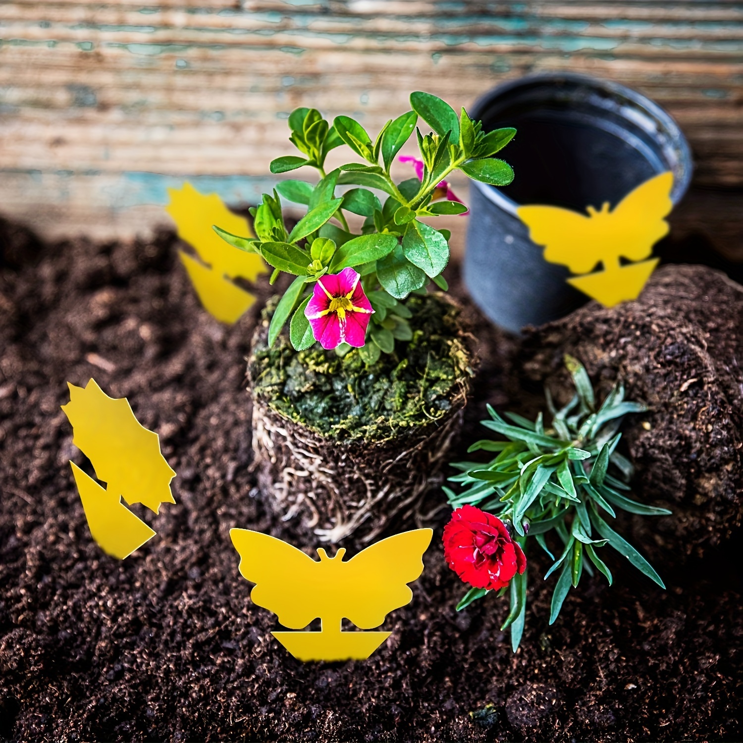 effective non toxic     fly and   traps for indoor outdoor plant protection no power needed details 3