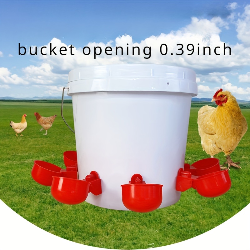 Bird Food Coop Cage Cup Poultry Coop Feeder Water Drinker - Temu