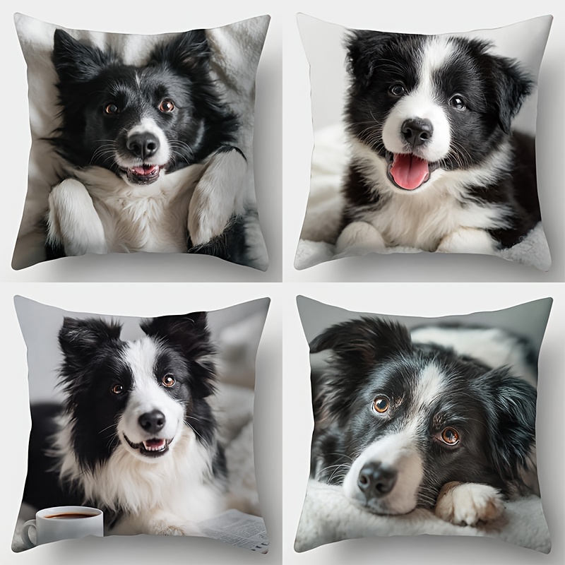 TEMU Fodere Cuscino Stampa 2D, 4 Pezzi, Tema Border Collie, Mostrano le Diverse del Cane, e . Ideali per Riunioni , Feste, Decorazioni per la Casa e