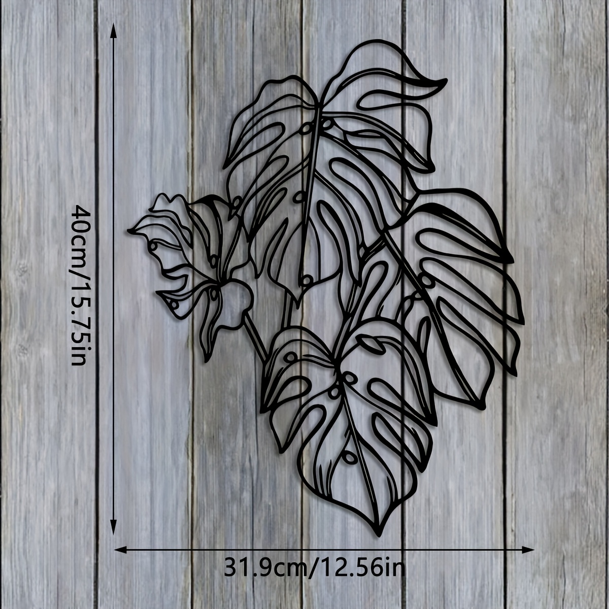 philodendron photos Philodendron paloraense main image 0
