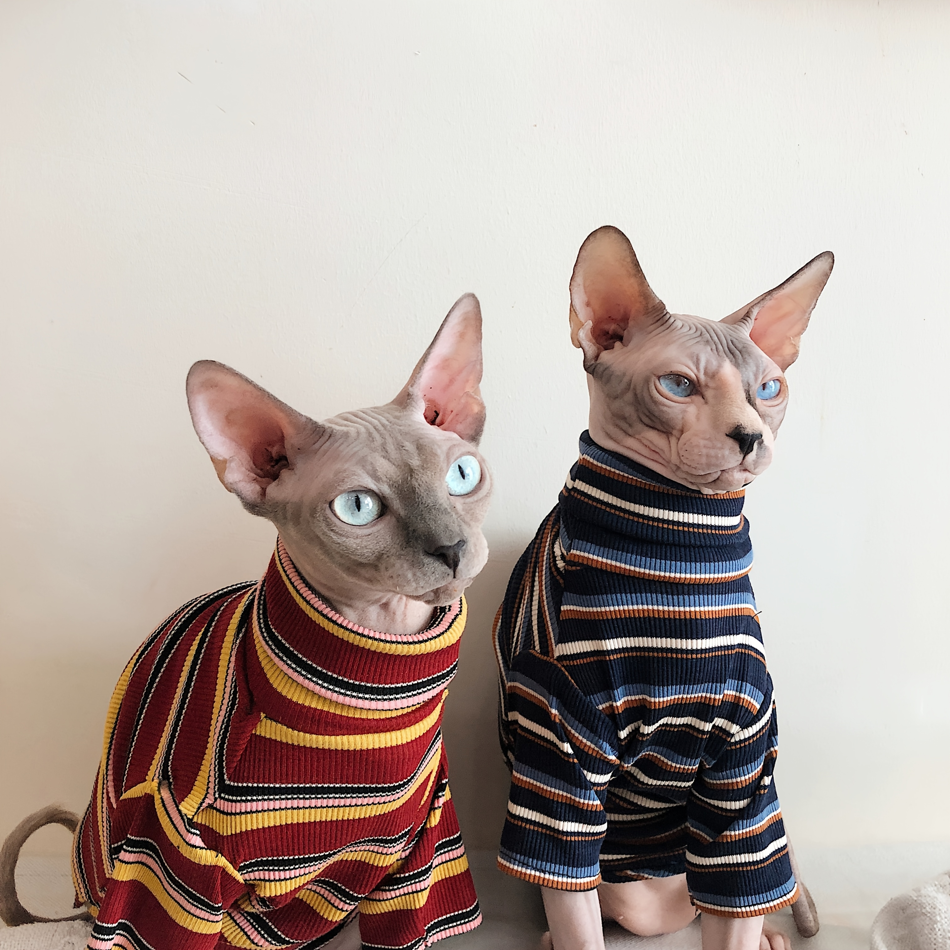 Sphinx Cats Sailor Striped Sweater - Cute, Trendy, Polyester Pullover for Sphynx Cats, * Spring &amp; Summer, Cat Accessories | Nautical Theme