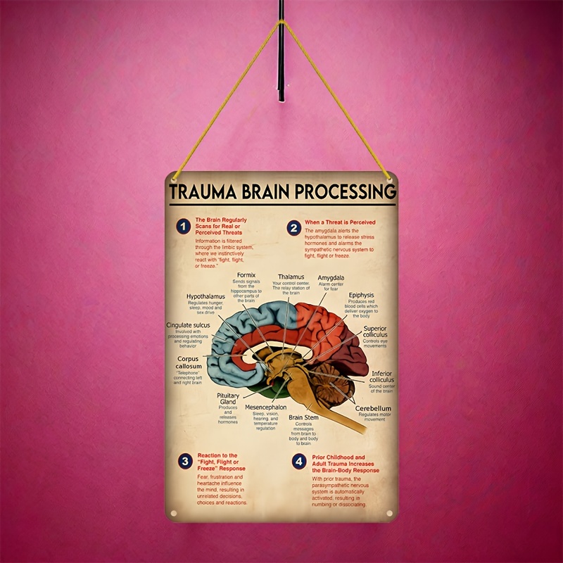 Acrylic Rectangle Wall Hanging Art Sign Trauma Brain - Temu Australia