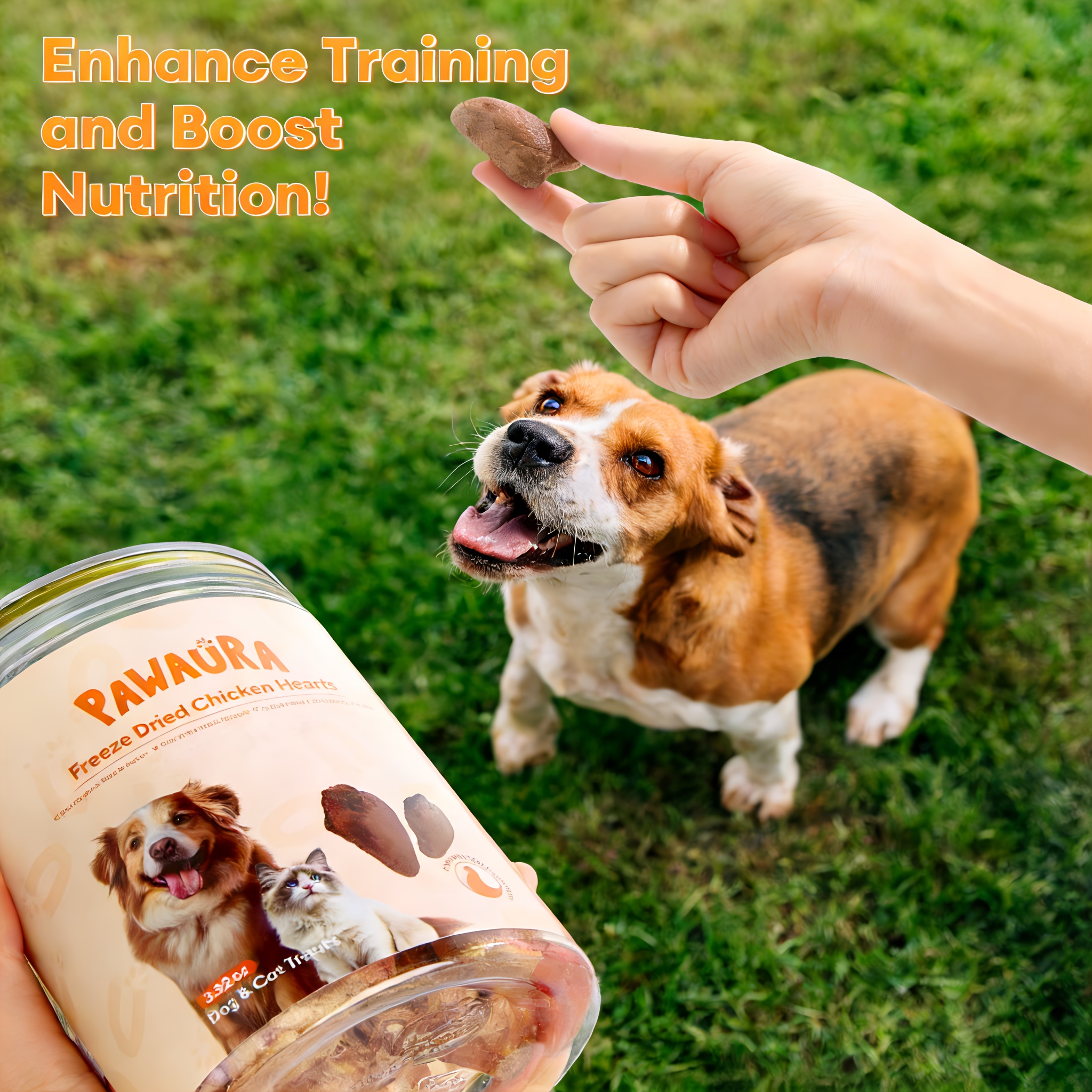   freeze dried chicken hearts   treats 17 63 oz 1 1 lbs high protein single     no additives preservatives training rewards and   topper Product details 4