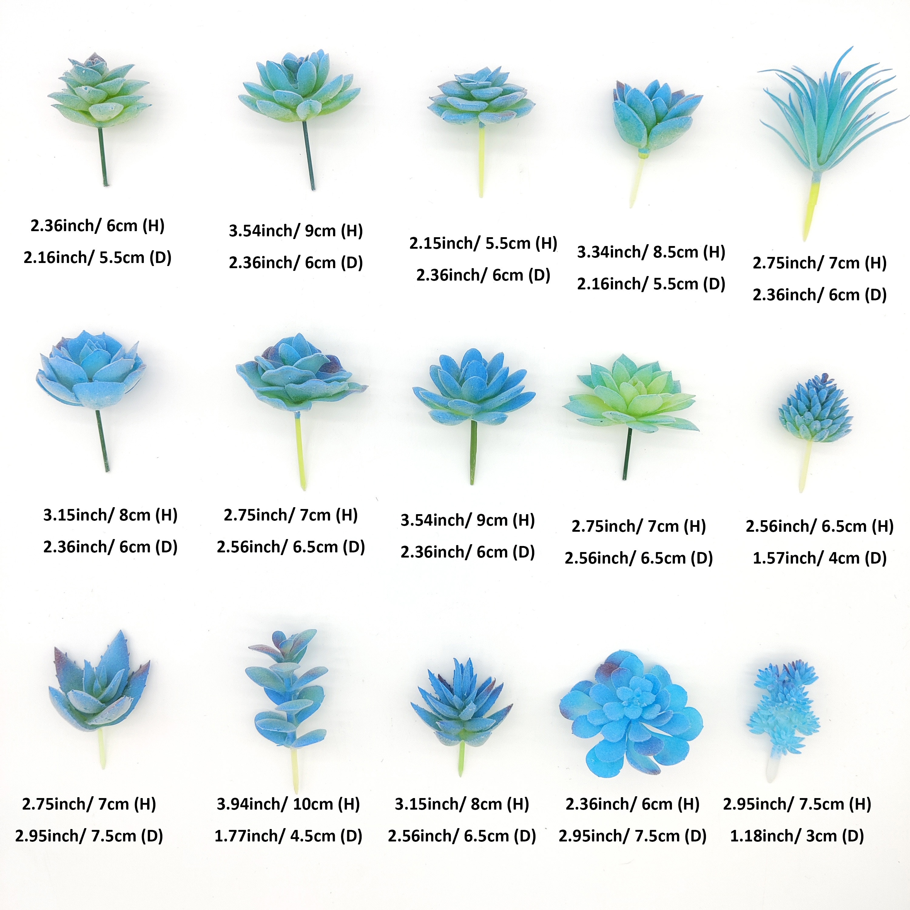 15 stck realistische blaue knstliche sukkulenten set - Temu Germany