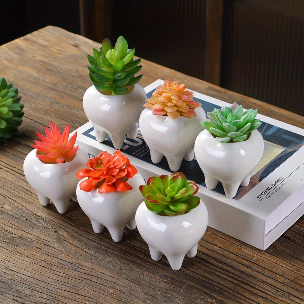 succulent plant gift delivery Potted Succulent Garden