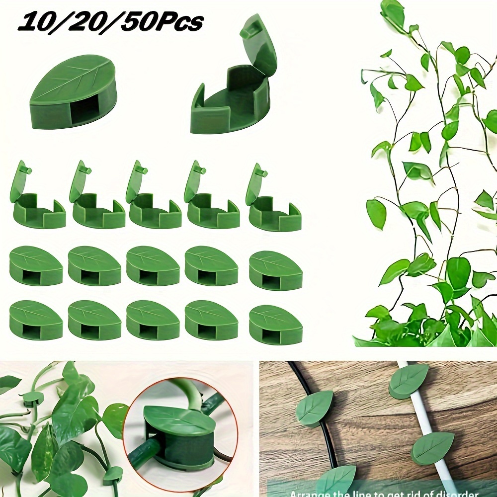 

10/30/50pcs Fixation Murale Invisibles pour Plantes Grimpantes, Support de en Rotin avec Boucle Fixe, Clips de Feuilles, Support de Traction pour Jardin