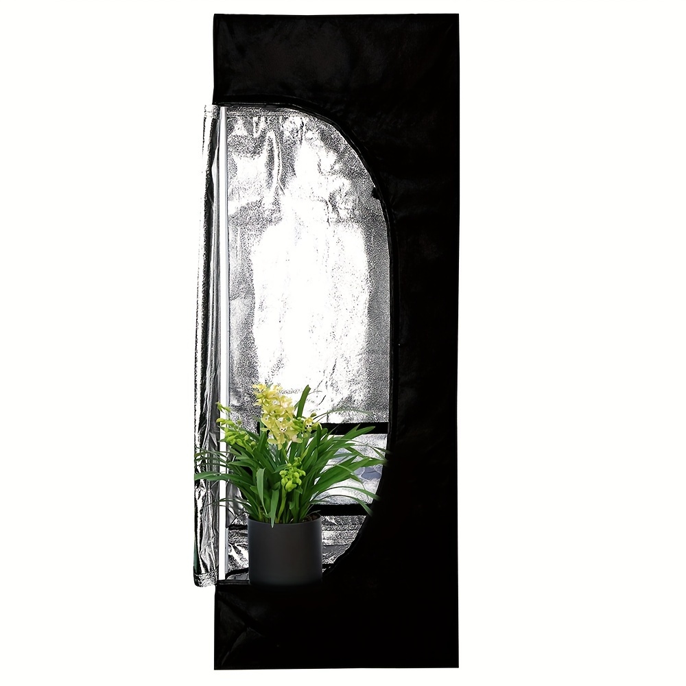 confetti plants Syngonium Milk Confetti COLLECTOR PLANT