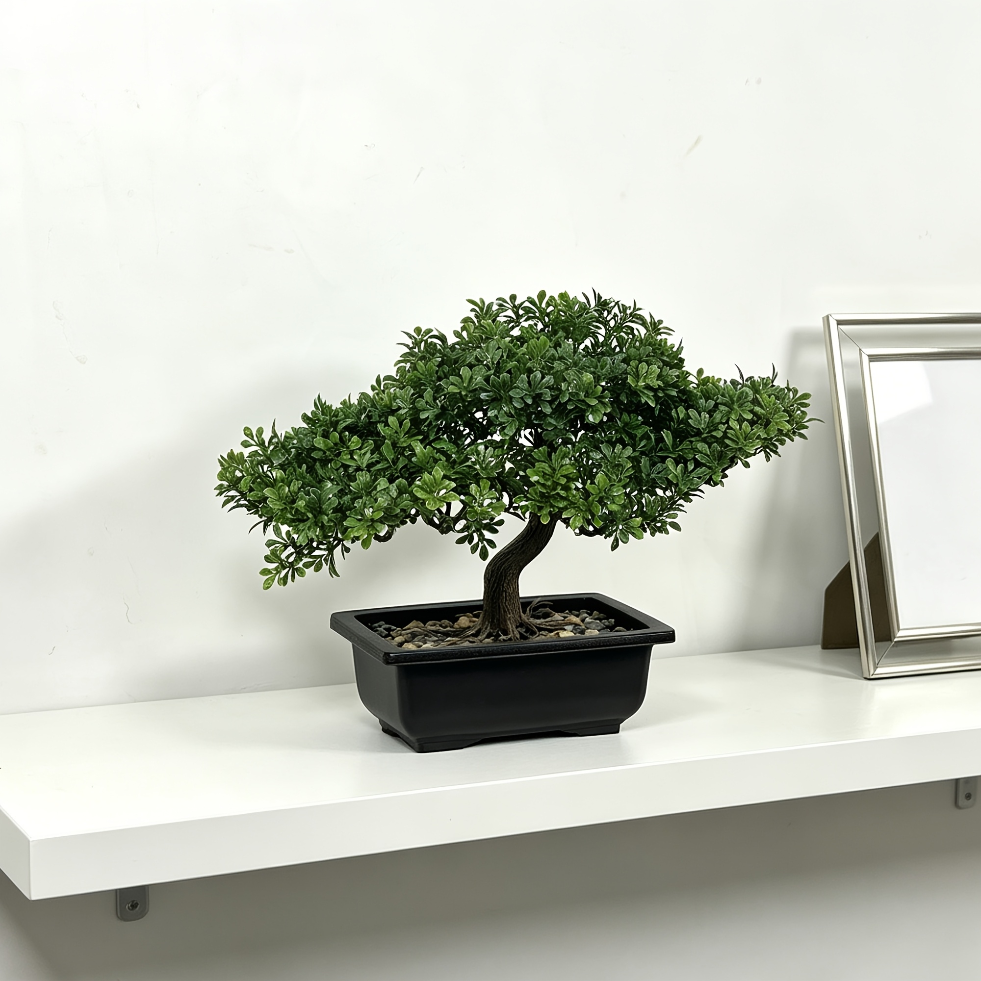 Artificial Aglaia Odorata Bonsai with Stone Accent