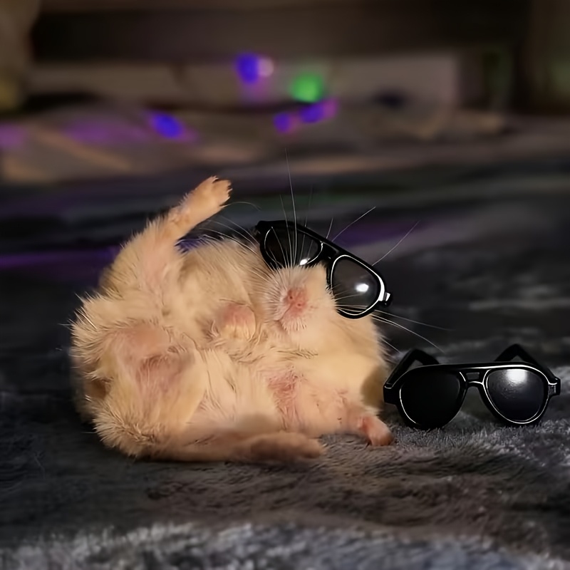 10 Pairs of Cute Glasses for Small Pets