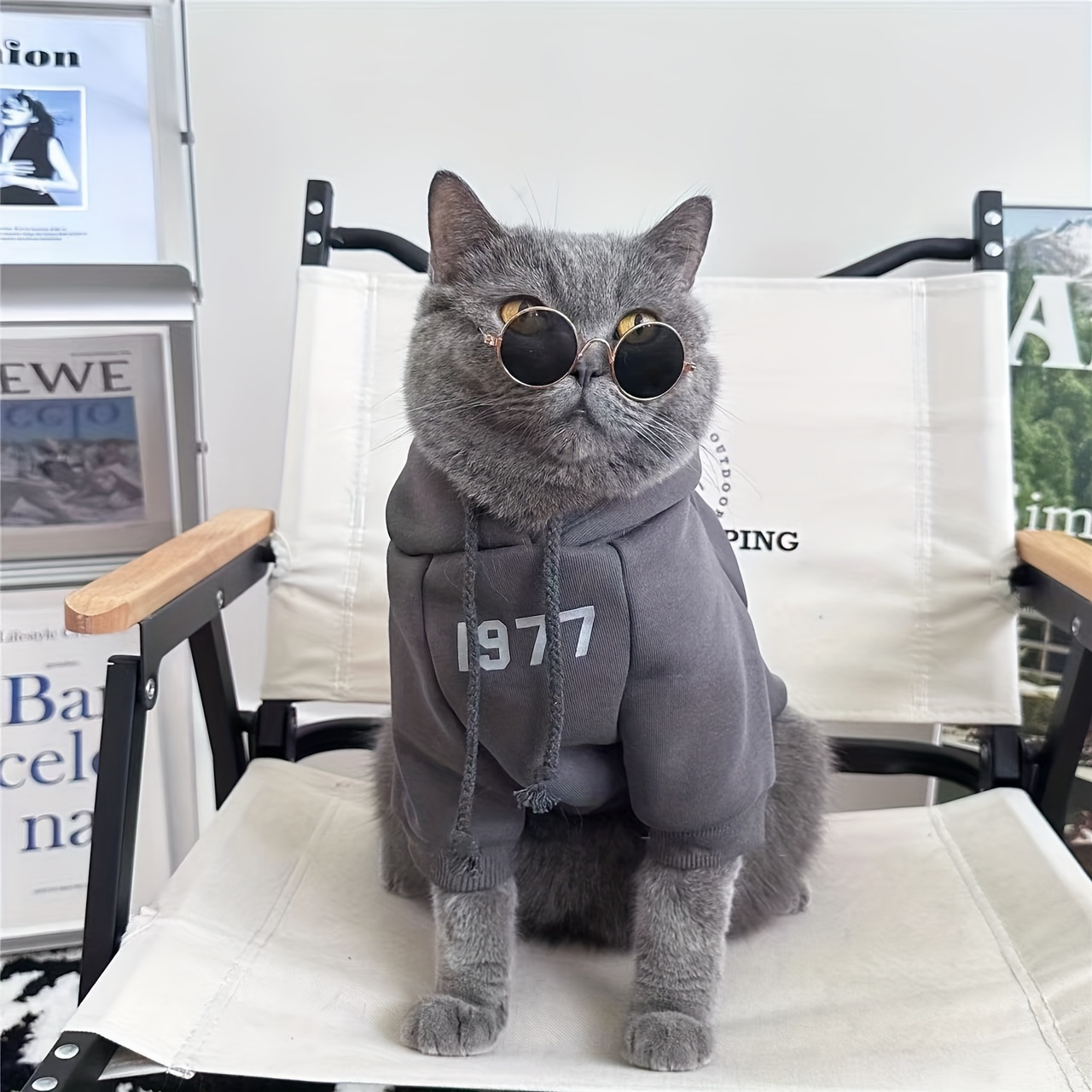 1977 vintage inspired pet sweatshirt hoodie Temu Mexico