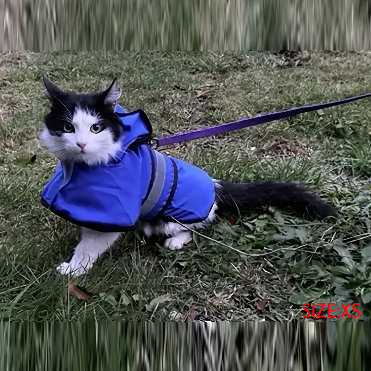 Pet raincoat, adjustable dog raincoat, thin and suitable for all seasons, with excellent waterproof performance. Available in 3 colors: yellow, blue and red. Complete sizes: XS, S, M, L, XL, 2XL, 3XL, 4XL. Suitable for all dog breeds.