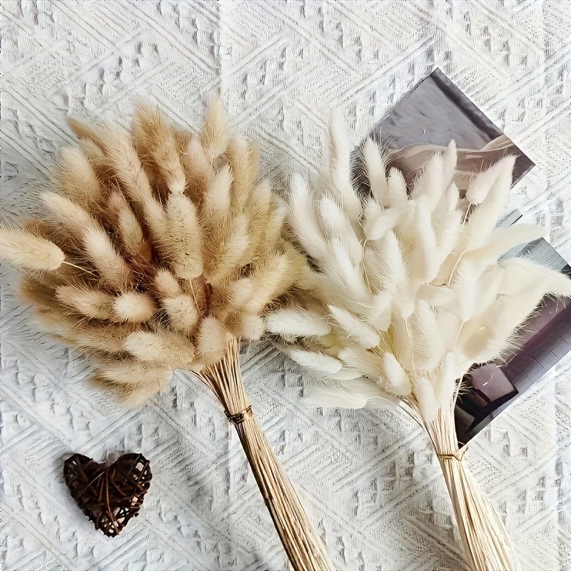 TEMU 99 pièces d'Herbe à queue de lapin artificielle | Décoration d'hiver, BOHO pour vase, mariage, jardin, Noël et Saint-Valentin, Bouquet décoratif